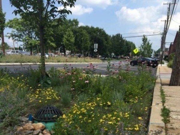 Liberty Street Curb Extension